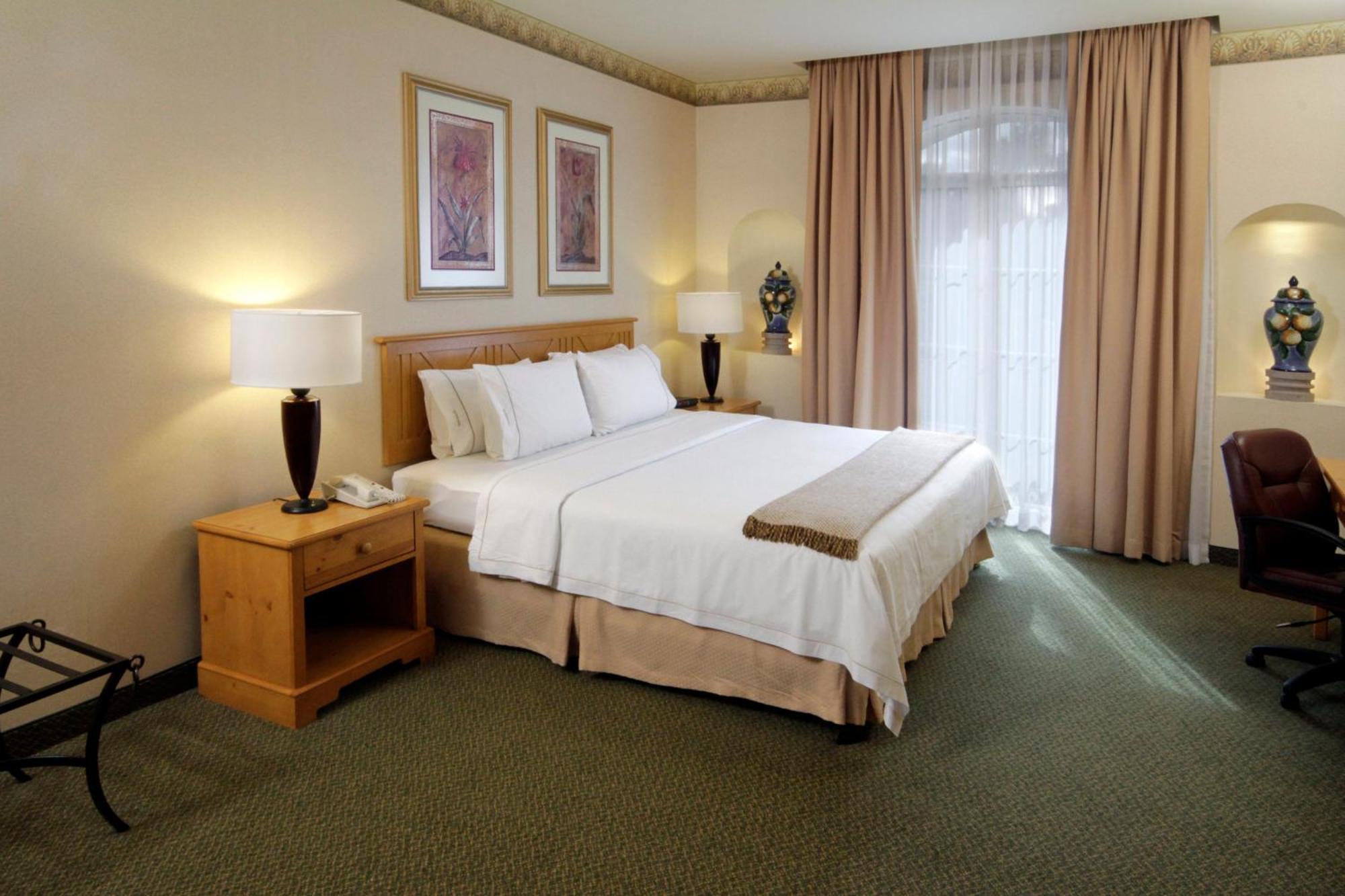 Standard King Room Accessible