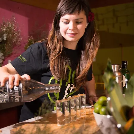 Cactus Hostel-2